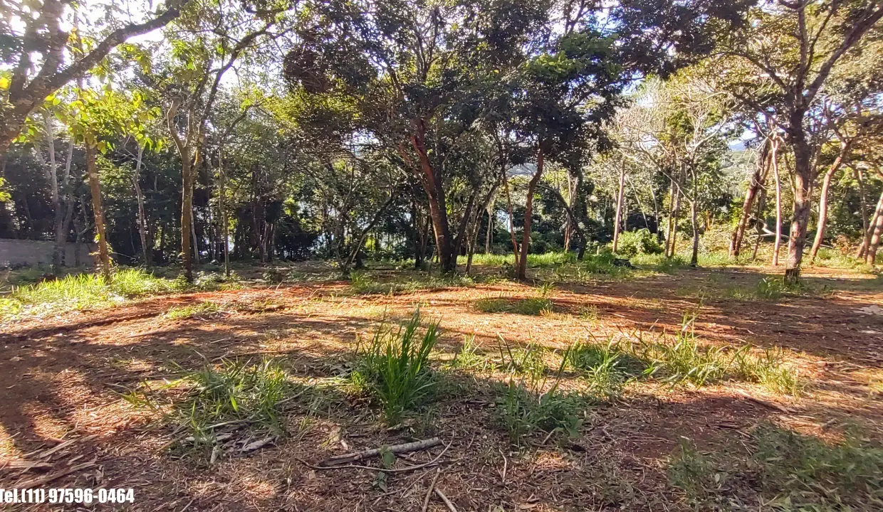 Terreno 5.000m pé n'água (16)